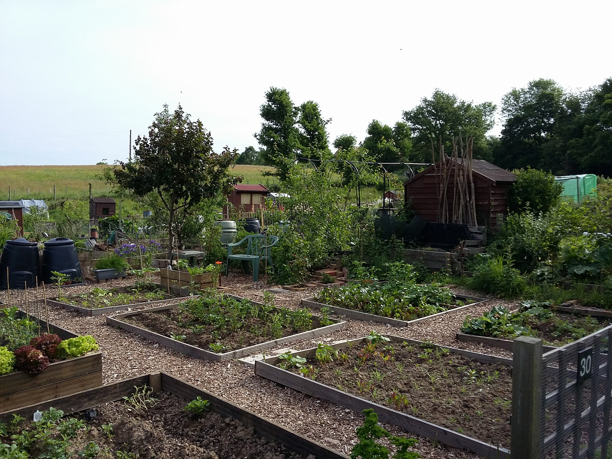 Buxted Parish Allotments